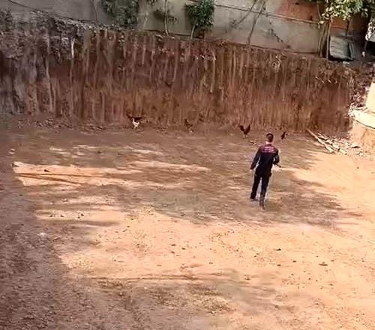 Batman\'da mahsur kalan tavuklar itfaiye ekipleri tarafından kurtarıldı
