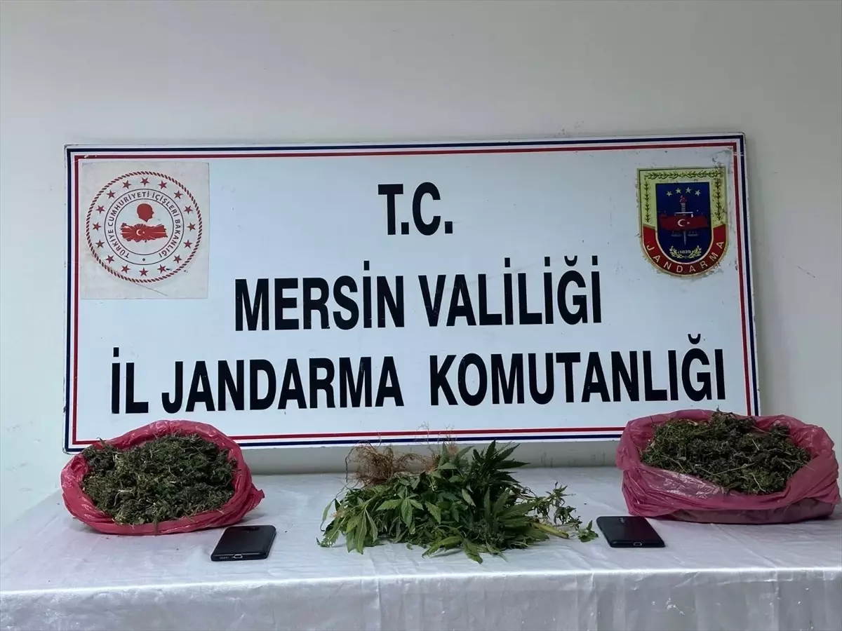 Mersin\'de 38 Kilo Esrar Ele Geçirildi, 3 Zanlı Tutuklandı