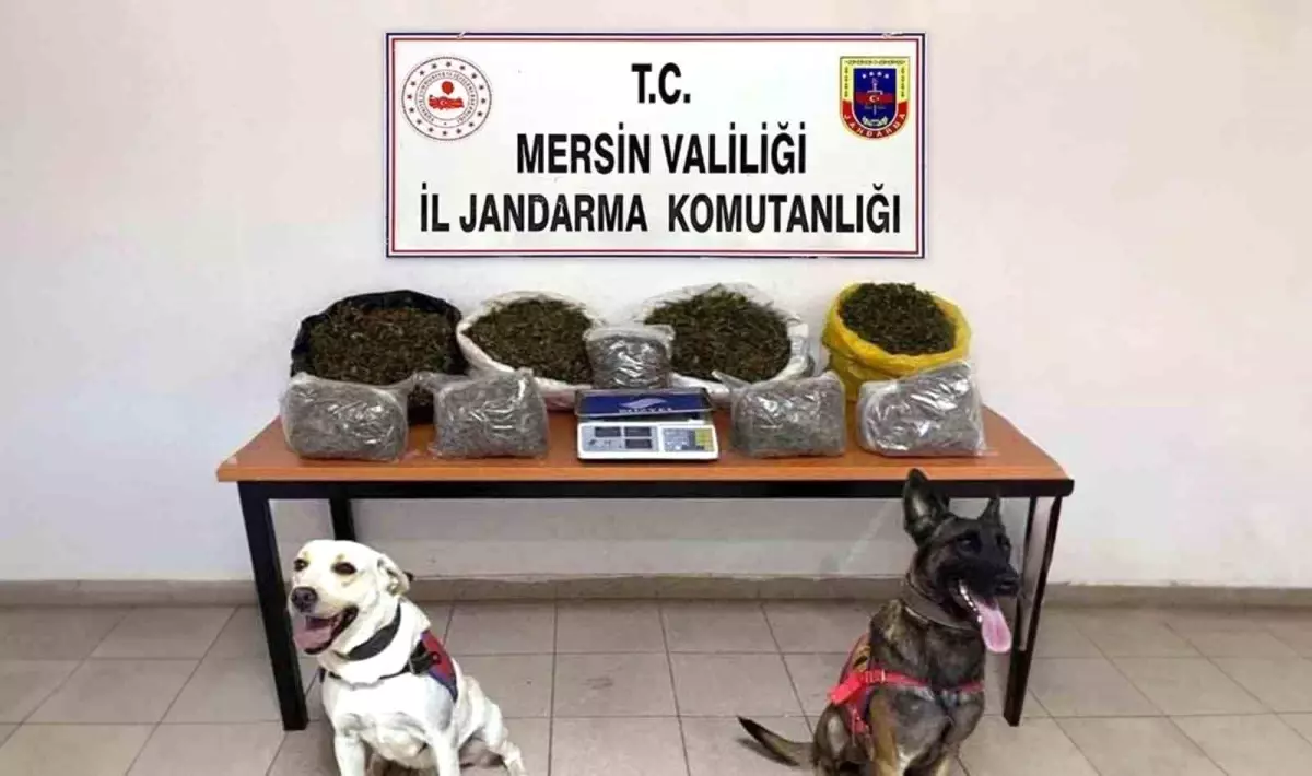 Mersin\'de Uyuşturucu Ticareti Yapan 4 Şüpheliden 3\'ü Tutuklandı
