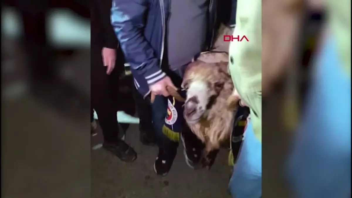 Trabzonspor Taraftarları Fenerbahçe'yi Havalimanında Karşıladı