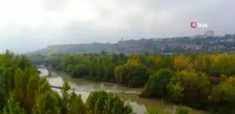 8 bin yıllık Hevsel Bahçeleri'nde renk cümbüşü