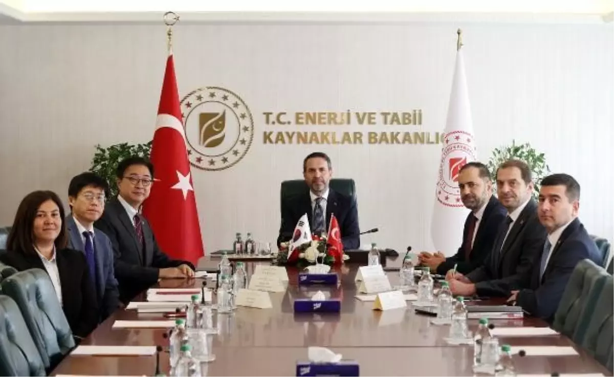 Türkiye ve Kore arasında enerji iş birliği görüşüldü