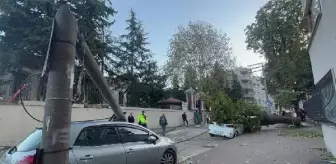 Lodos Bursa'da Etkili Oldu: Aydınlatma Direği ve Ağaç Araçların Üzerine Devrildi