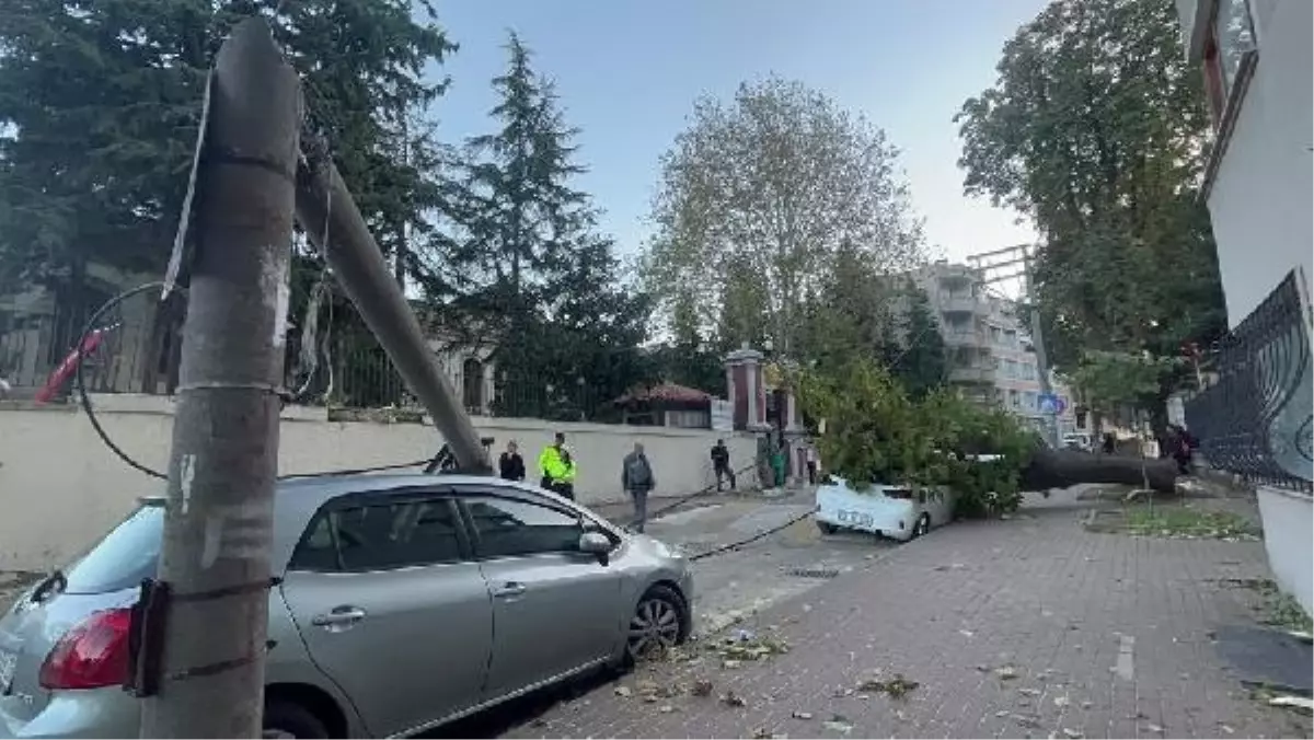 Lodos Bursa'da Etkili Oldu: Aydınlatma Direği ve Ağaç Araçların Üzerine Devrildi
