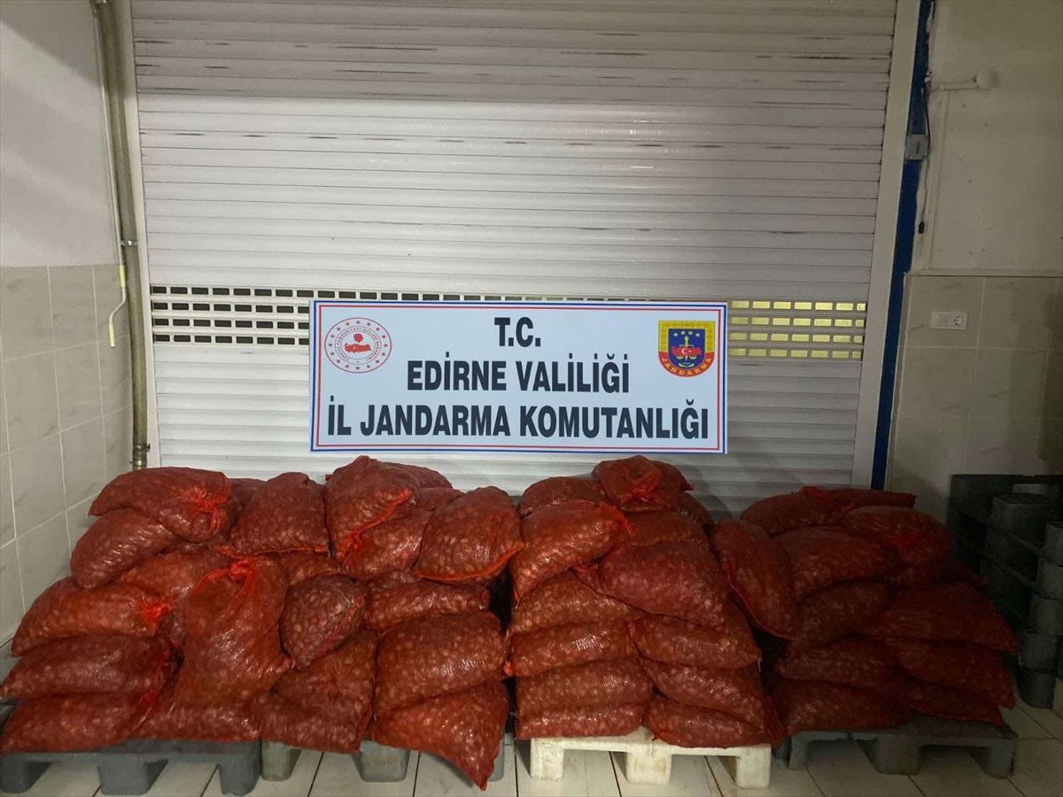Edirne\'de 1 Ton 662 Kilogram Kum Midyesine El Konuldu