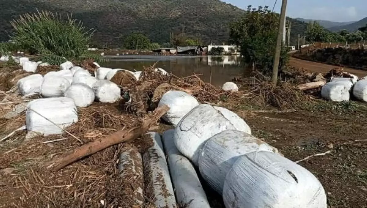 Söke\'deki sel felaketi sonucu biriken atıklar Ege Denizi\'ne ulaşabilir