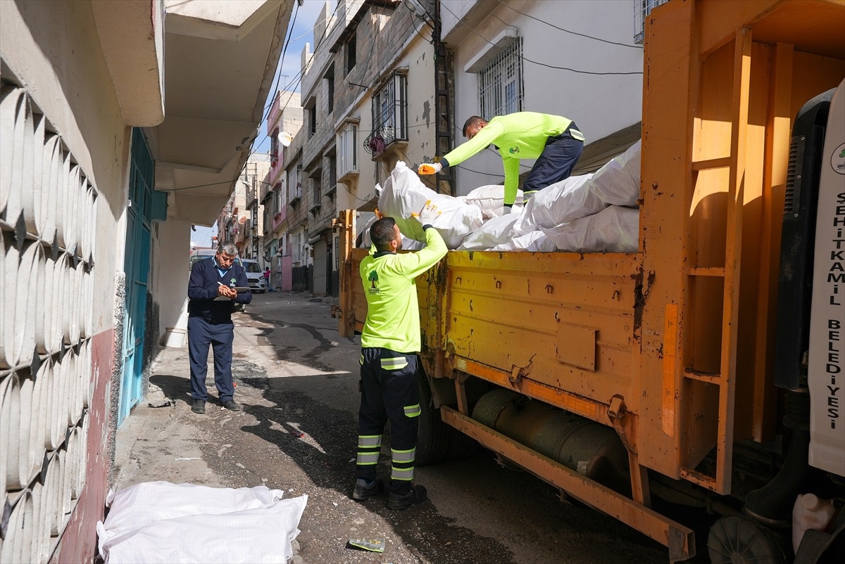 Gaziantep\'te budanan ağaçlar dar gelirli ailelerin evini ısıtacak