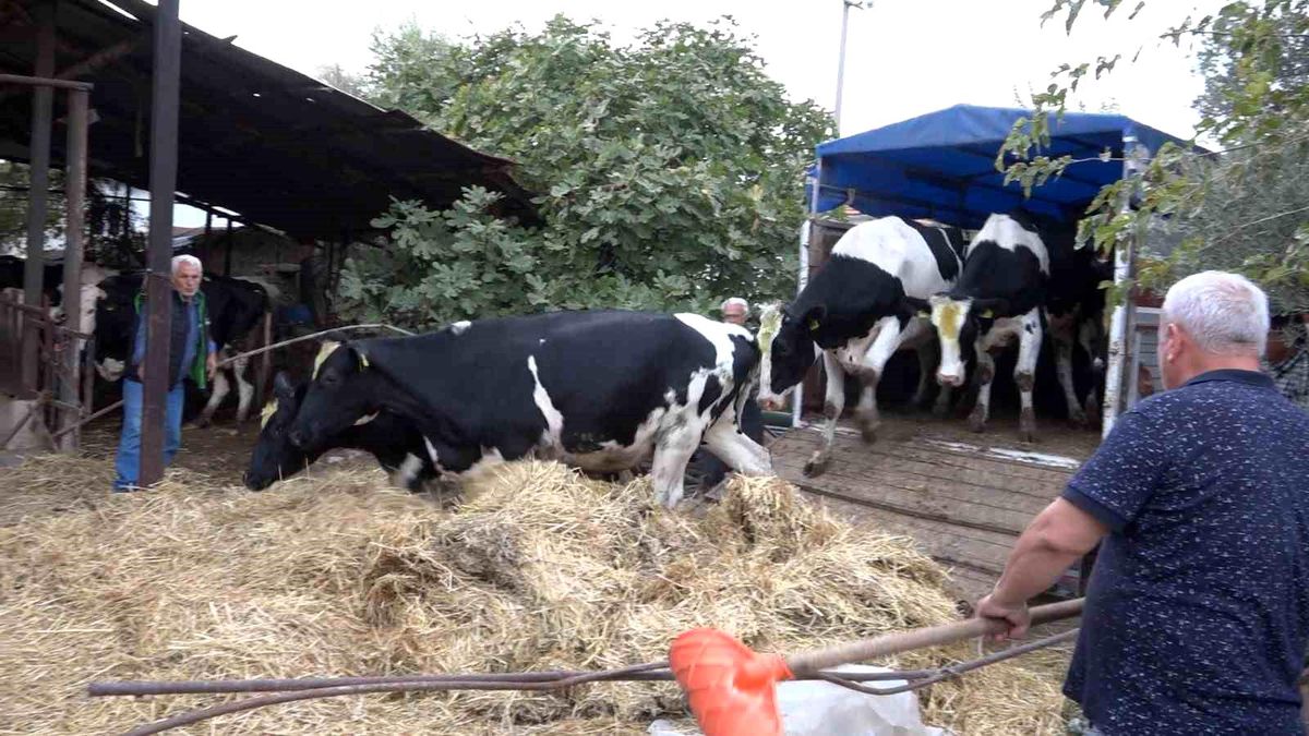 Denizli\'de Köyde Yaşamak İçin Proje Başladı