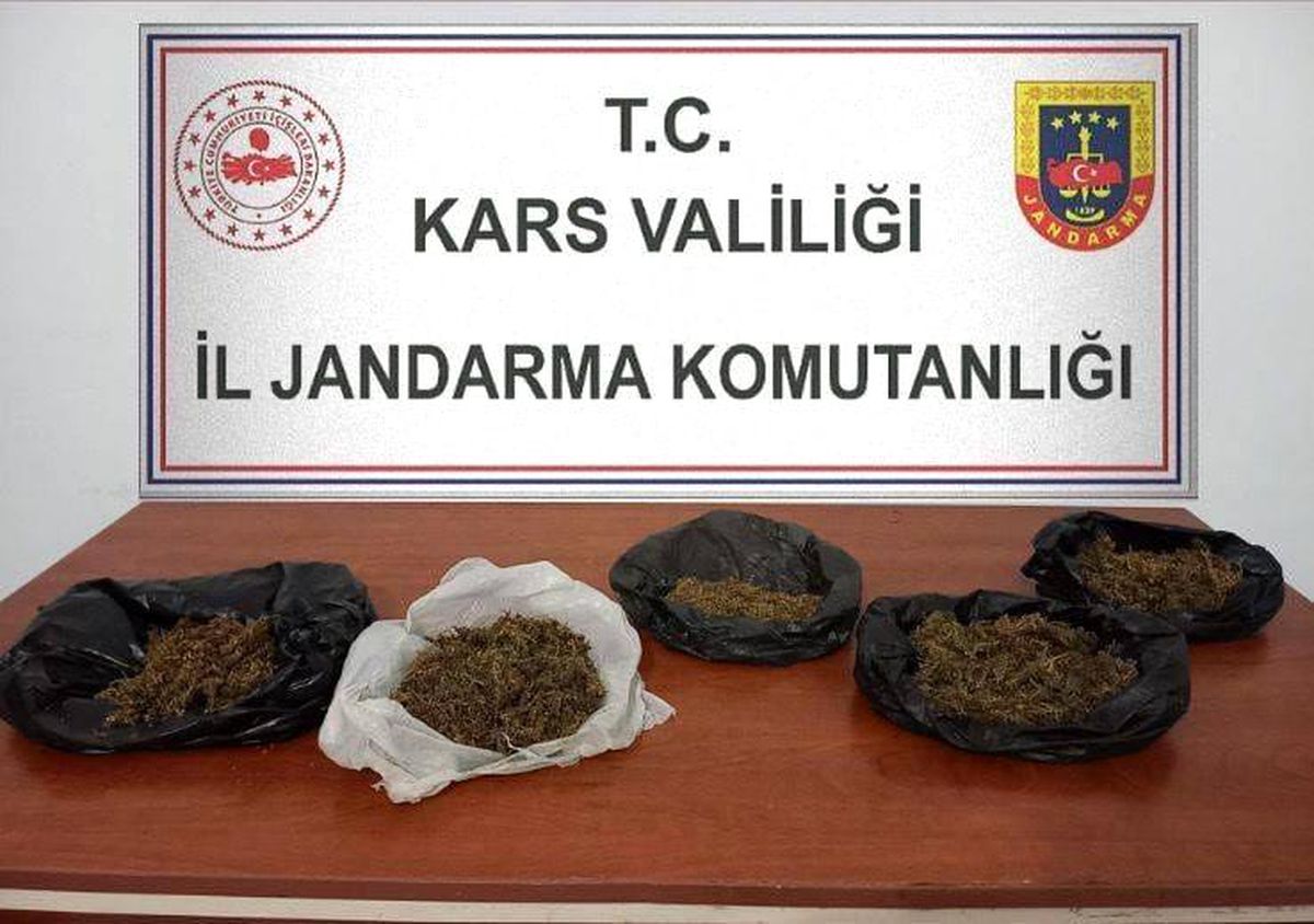 Kars\'ta Zehir Tacirlerine Operasyon: 700 Gram Bonzai Ele Geçirildi