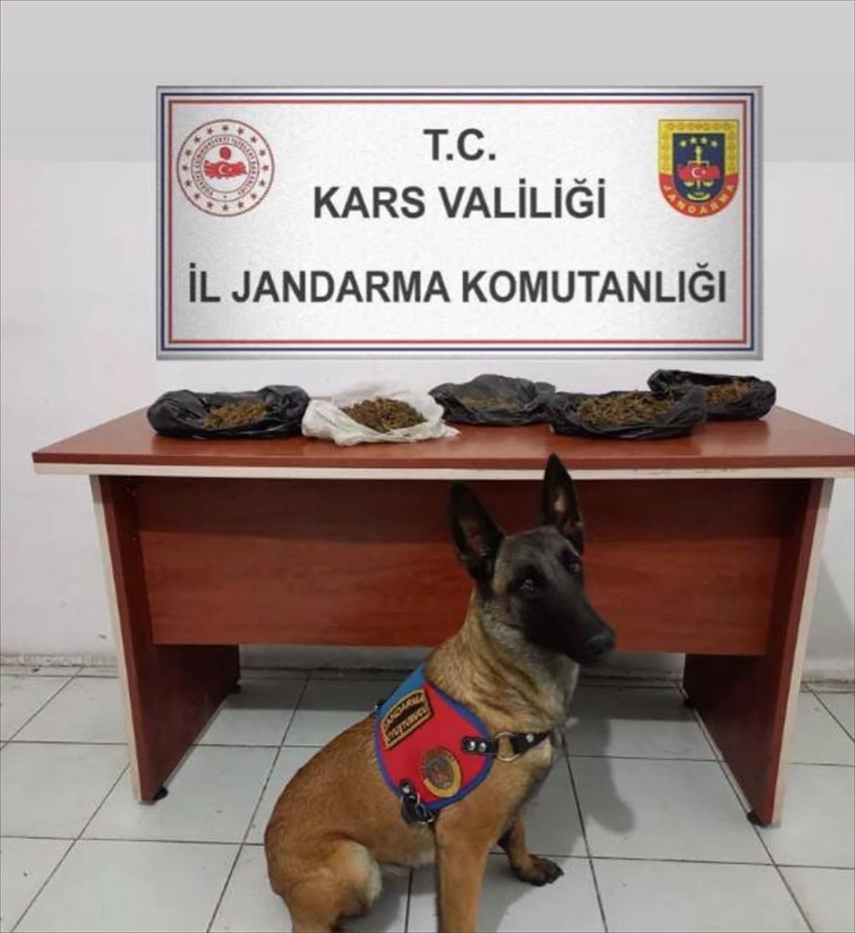 Kars\'ta Uyuşturucu Operasyonu: Zanlı Tutuklandı
