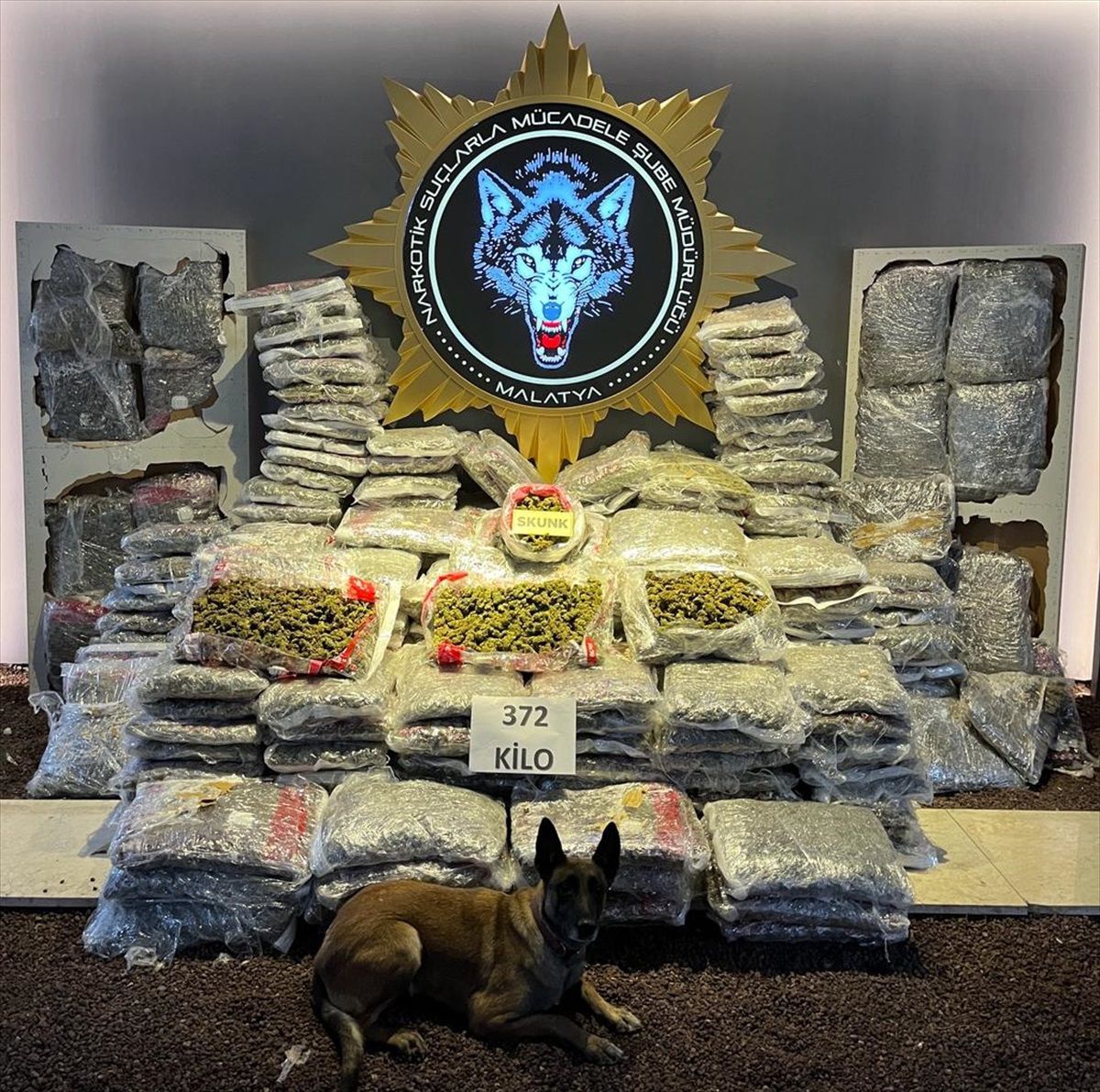 Malatya\'da 372 Kilogram Skunk Ele Geçirildi, 1 Şüpheli Gözaltına Alındı