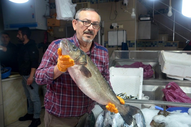 5 kilogramlık levrek balığı 3 bin TL'ye satışa çıkarıldı 5 kilogramlık levrek balığı 3 bin TL'ye satışa çıkarıldı