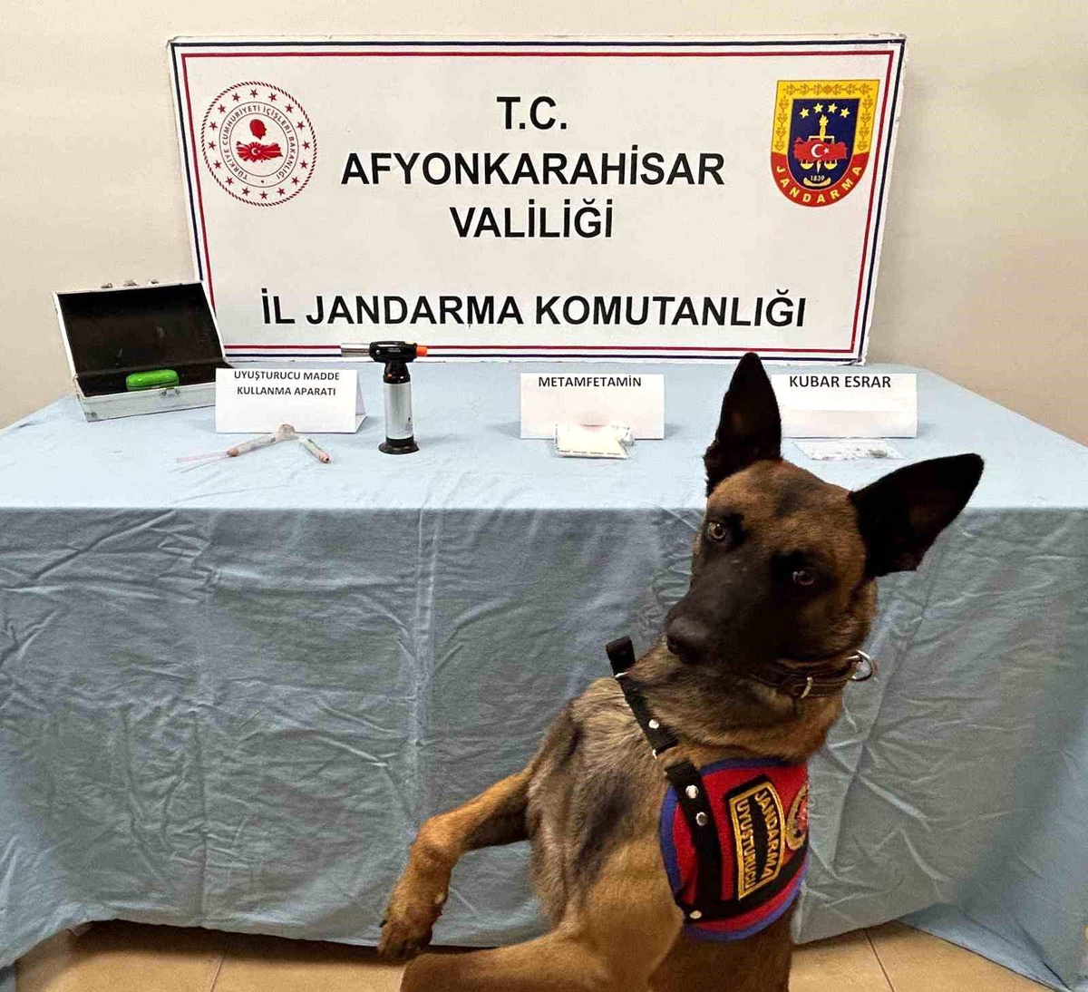 İstanbul\'dan Afyonkarahisar\'a uyuşturucu getiren şahıslar yakalandı