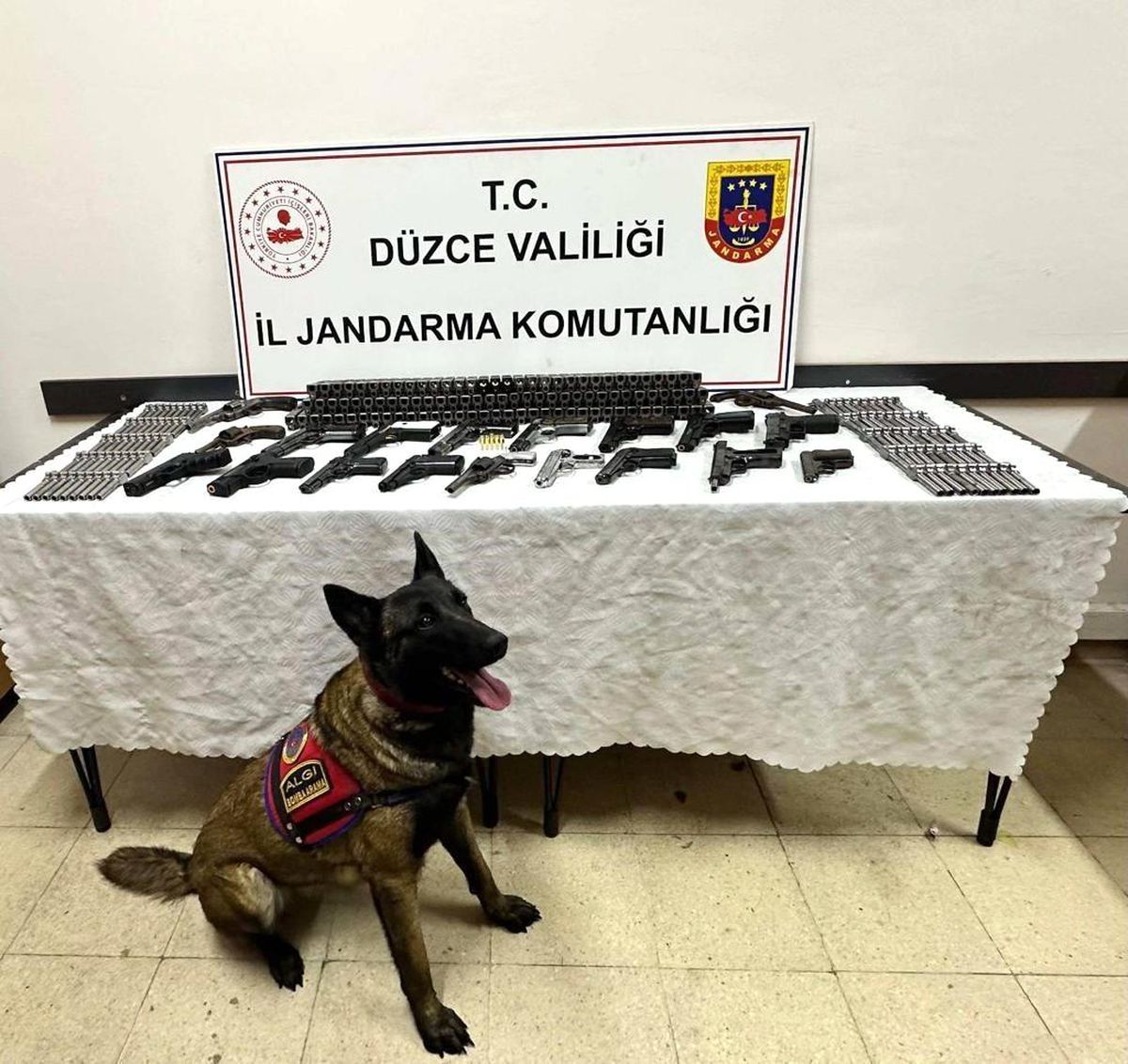 Düzce\'de Silah Kaçakçılığı Operasyonu: 19 Tabanca Ele Geçirildi