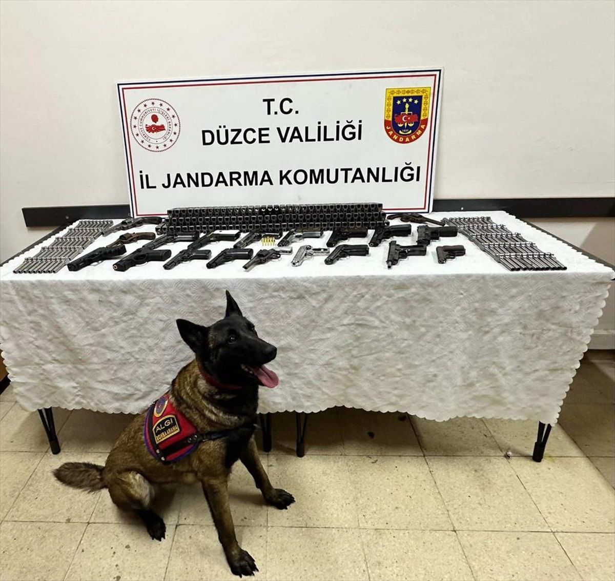 Düzce\'de silah kaçakçılığı operasyonunda 3 şüpheli gözaltına alındı