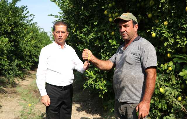 Limon tarlada 30 kuruşa kadar düştü, üreticiden Tarım Kredi'ye çağrı geldi: Limonata yapılıp vatandaşa satılsın Limon tarlada 30 kuruşa kadar düştü, üreticiden Tarım Kredi'ye çağrı geldi: Limonata yapılıp vatandaşa satılsın