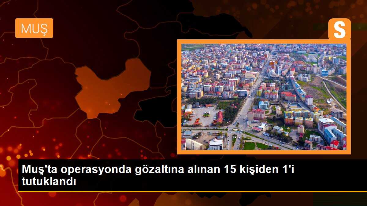 Muş\'ta operasyonda gözaltına alınan 15 kişiden 1\'i tutuklandı