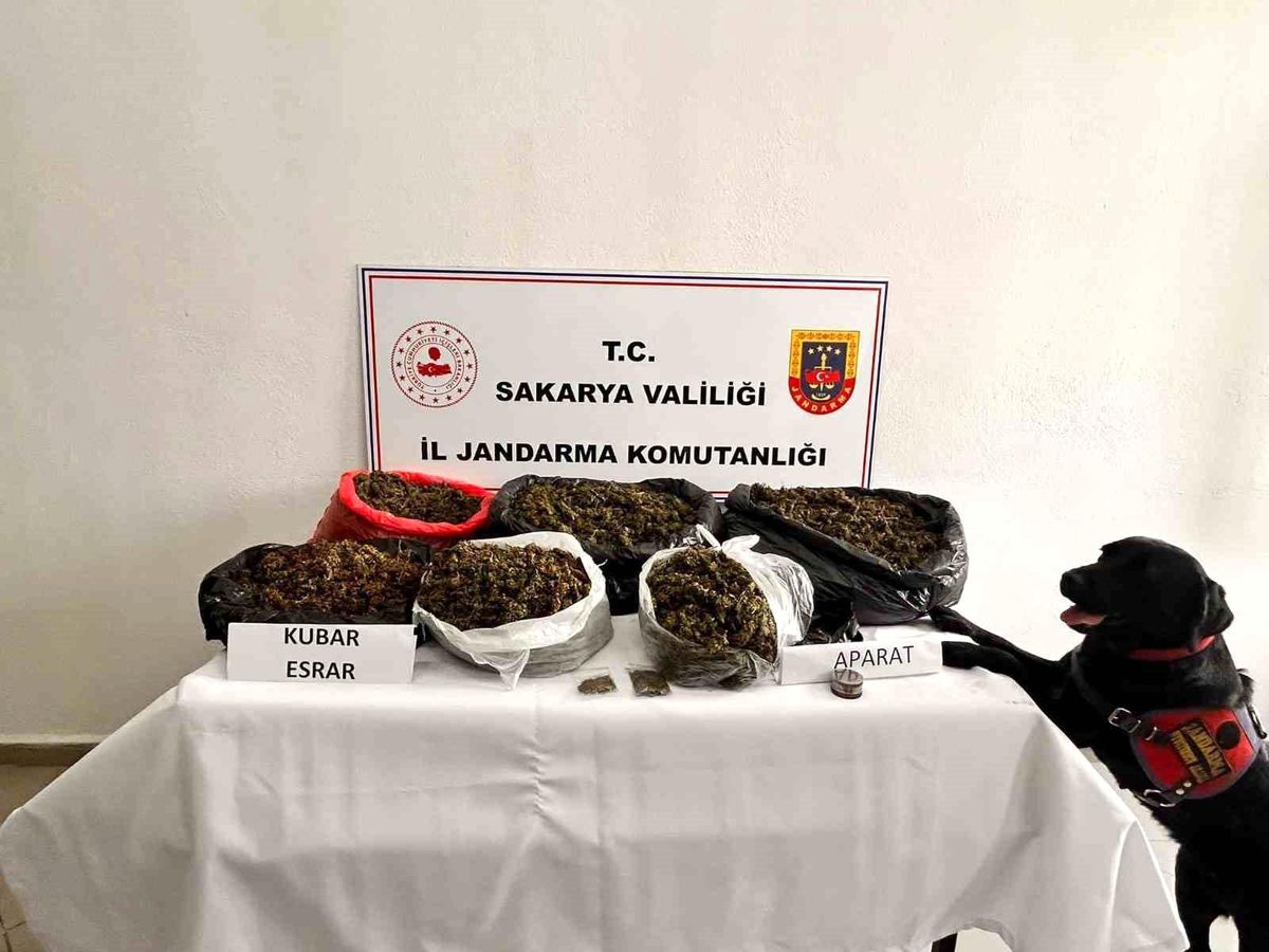 Sakarya\'da Son 5 Yılda 3.888 Uyuşturucu Şüphelisi Yakalandı