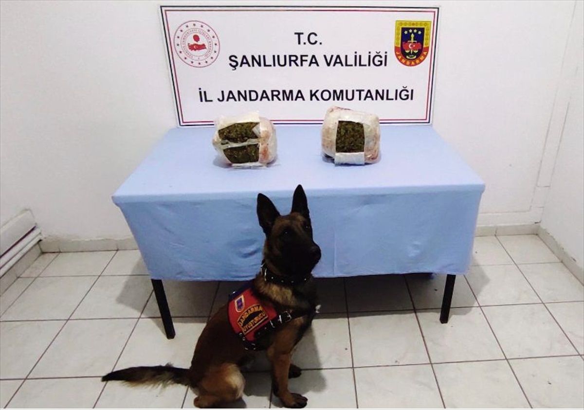 Şanlıurfa\'da Otobüste 3 Kilogram Skunk Ele Geçirildi