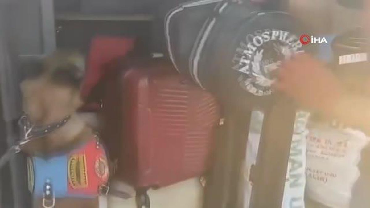 Şanlıurfa\'da yolcu otobüsünde 3 kilo skunk ele geçirildi