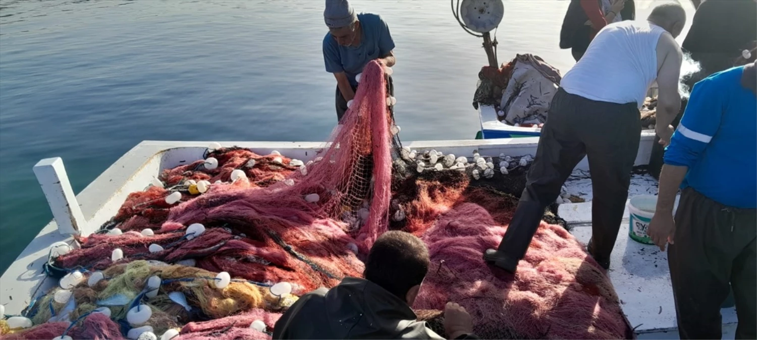 Çanakkale\'de Balıkçılar 1300 Lüferle Döndü