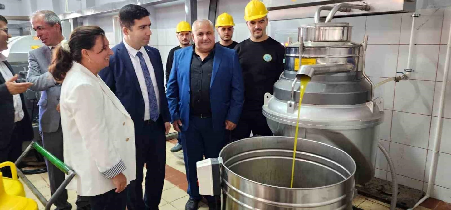 Bayramiç S.S. Pıtıreli Tarımsal Kalkınma Kooperatifine bağlı Zeytinyağı Fabrikası sezonun ilk zeytinlerini işlemeye başladı