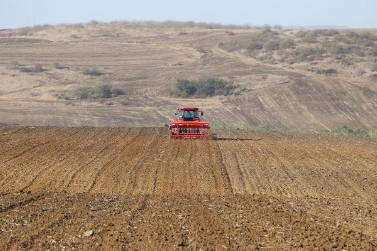 Tekirdağ\'da Çiftçiler İlk Buğdayları Toprakla Buluşturdu