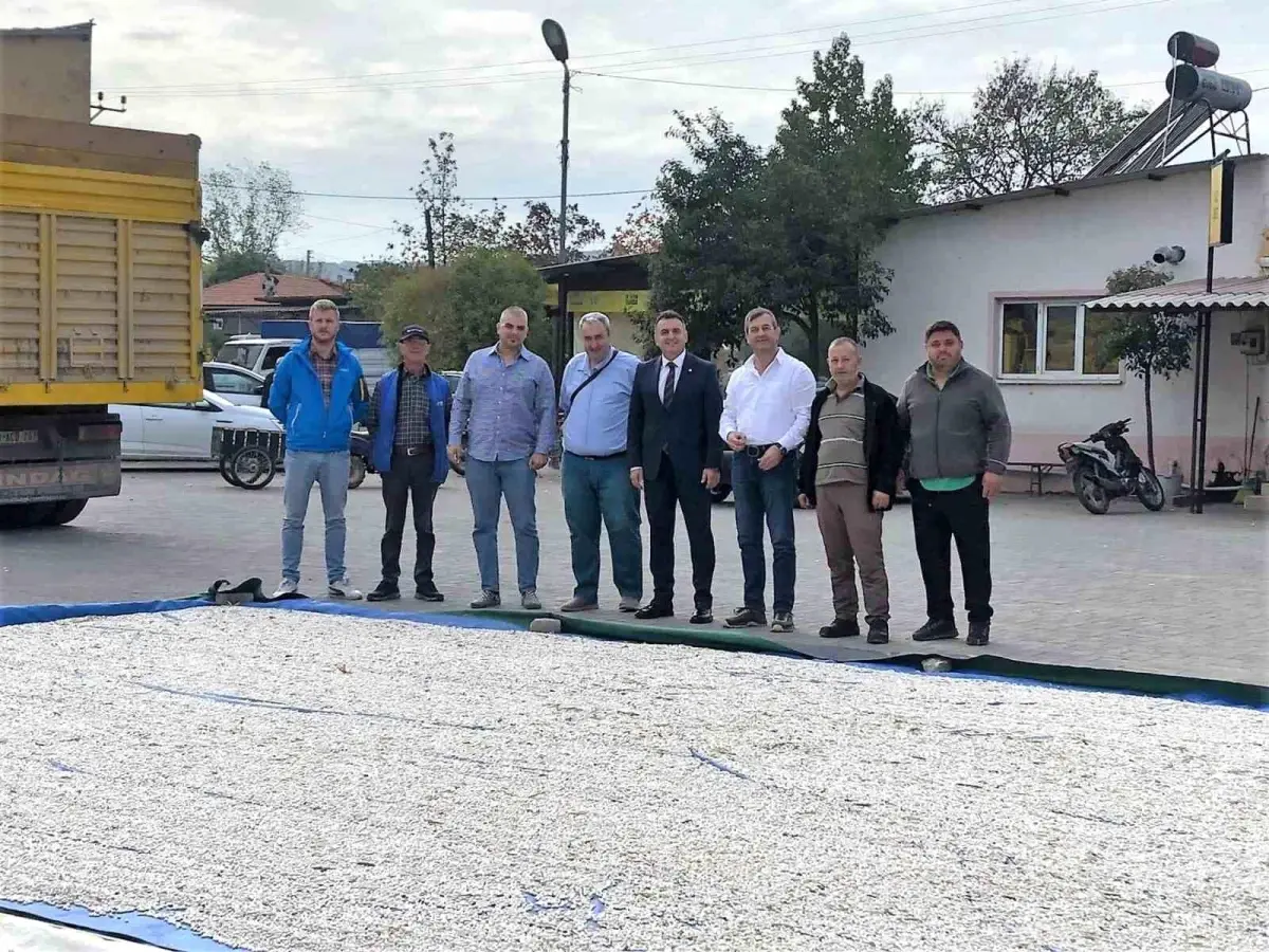 Bandırma Ticaret Odası, Kazak Fasulyesi Üreticilerini Ziyaret Etti