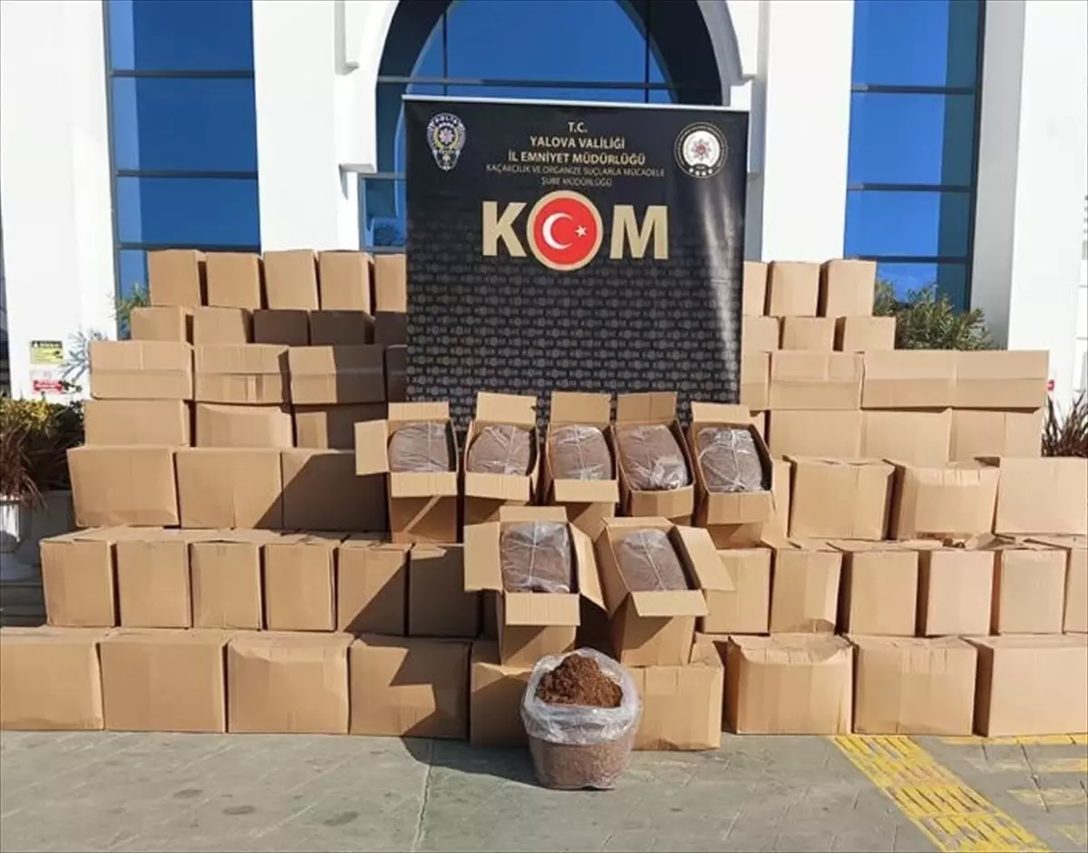 Yalova\'da Kaçak Tütün Operasyonu: 3 Ton 600 Kilogram Ele Geçirildi