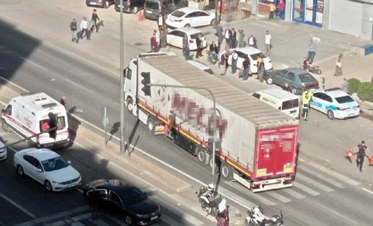Mardin\'de TIR\'ın çarptığı yaşlı adam hayatını kaybetti