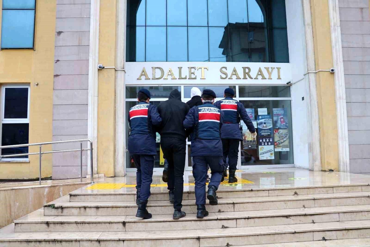 Artvin\'de 15 düzensiz göçmen yakalandı