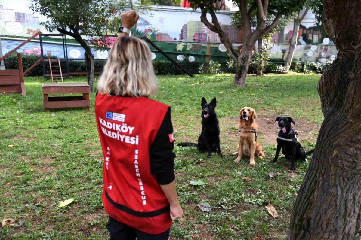 Kadıköy Belediyesi\'nin yeni arama kurtarma köpeği Coco sertifikasını aldı