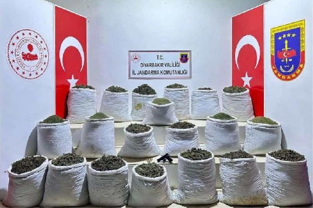 Diyarbakır\'da 914 kilogram esrar ve 7 bin 350 kök Hint keneviri ele geçirildi