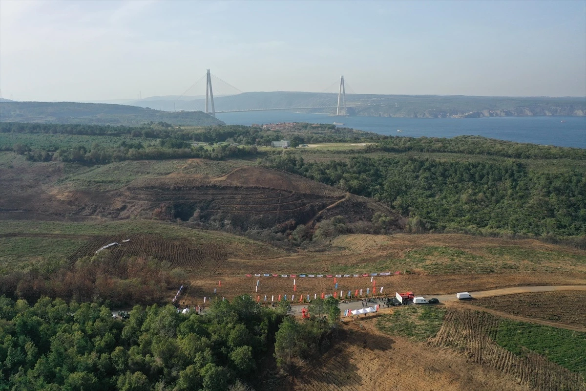 İstanbul Valiliği, yangın bölgelerinde ağaçlandırma çalışmalarına başladı