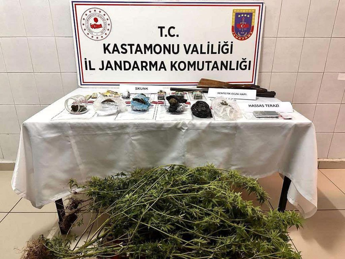 Kastamonu\'da Saksılarda Skunk Bitkisi Ele Geçirildi