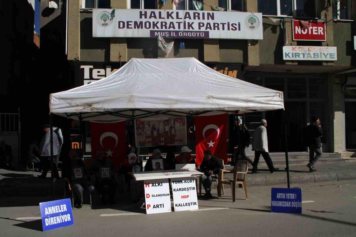 Muş\'ta aileler, çocuklarının dağa götürülmesinden HDP\'yi sorumlu tutuyor