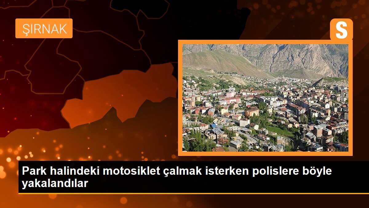 Park halindeki motosiklet çalmak isterken polislere böyle yakalandılar
