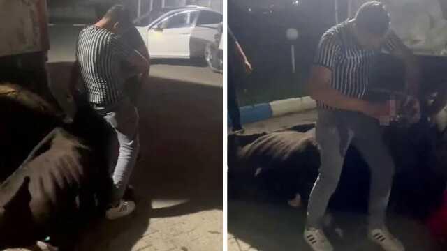 Sakarya'da bir grup, ineğe zorla alkol içirdi