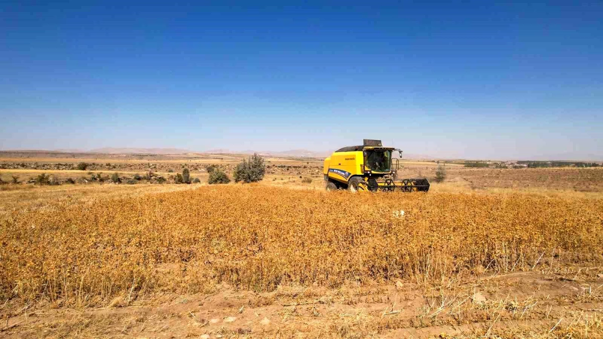 Talas Belediyesi, İlçe Tarımına Katkılarını Sürdürüyor