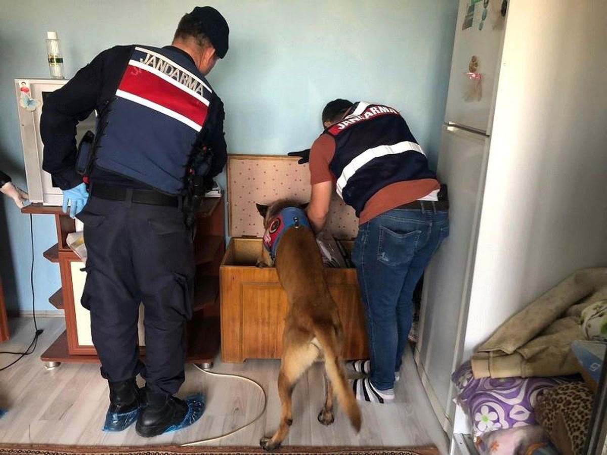 Balıkesir\'de Huzurlu Sokaklar ve Narkotik Suçlar Uygulaması Gerçekleştirildi