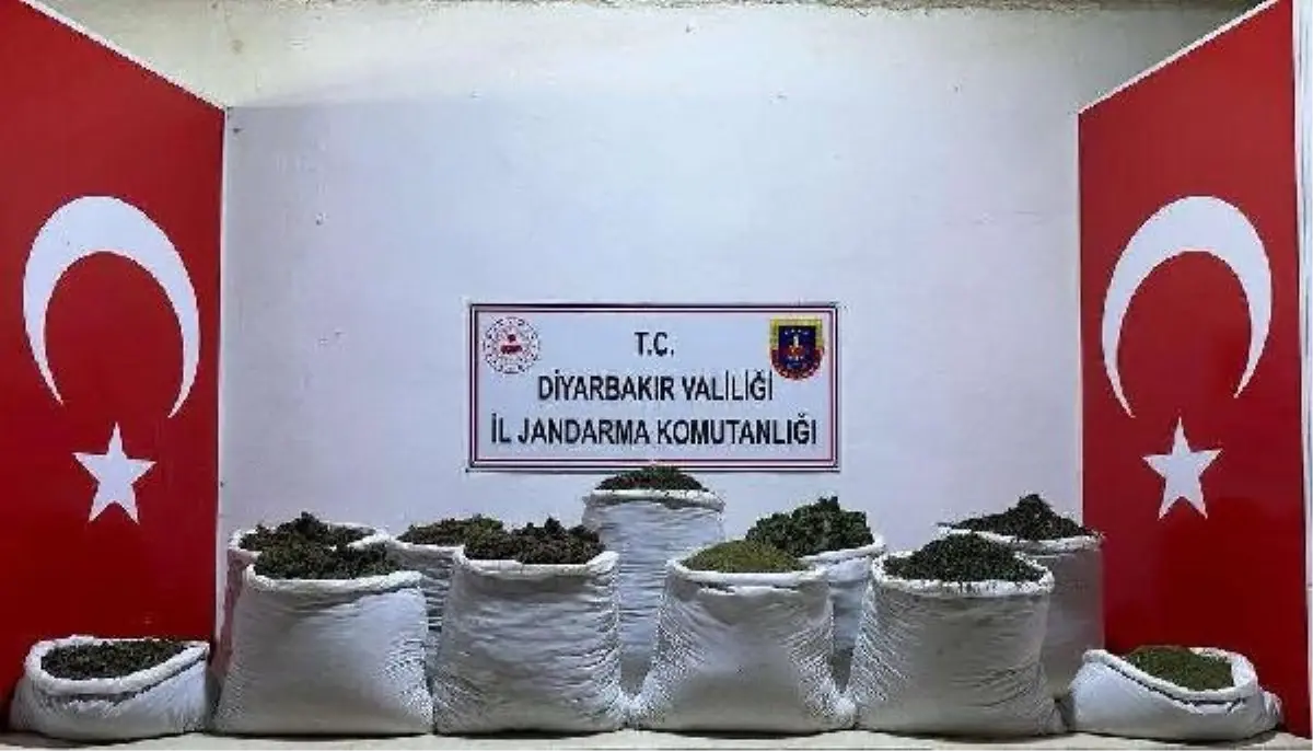 Diyarbakır\'da 135 kilogram esrar ve 47 bin 800 kök Hint keneviri ele geçirildi
