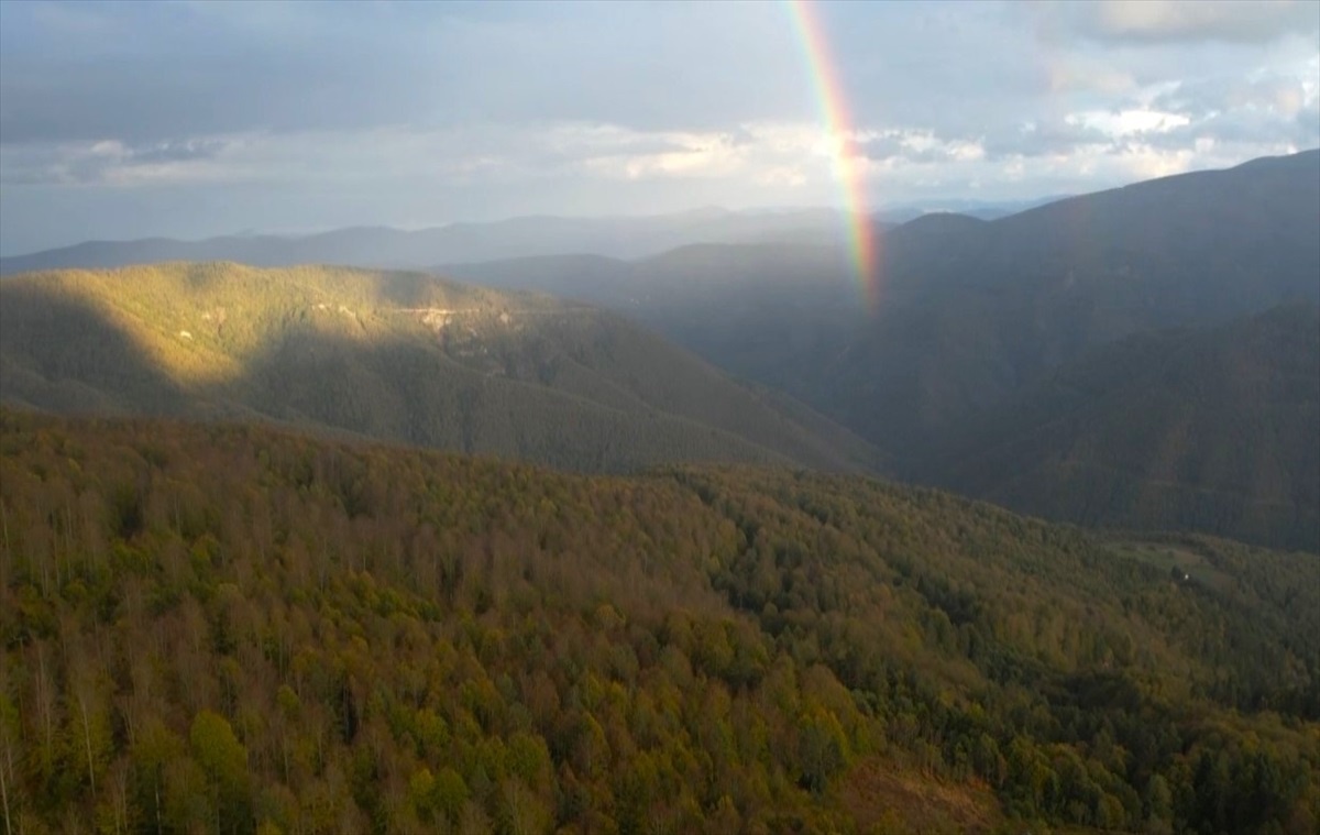 Kastamonu\'da Sonbaharın Renk Şöleni