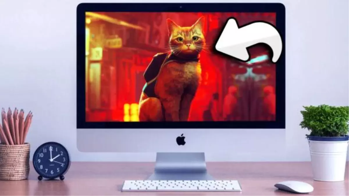 Stray Oyunu Mac için Çıkış Yaptı