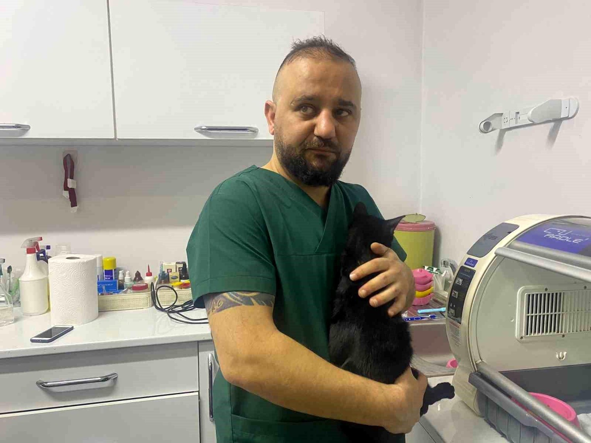 Zonguldak\'ta 6. kattan düşen kedinin kaval kemiği kırıldı