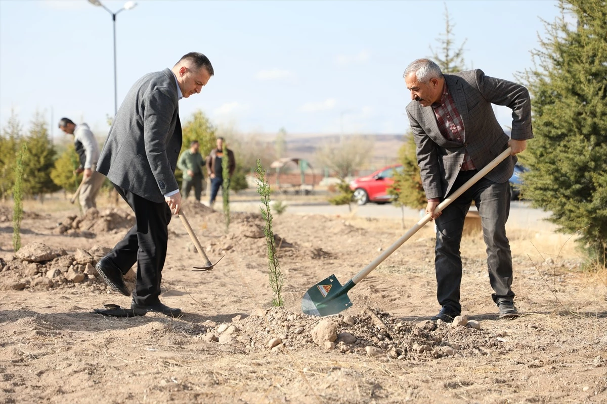 Çorum Alaca\'da 11 Kasım Milli Ağaçlandırma Günü Kutlandı