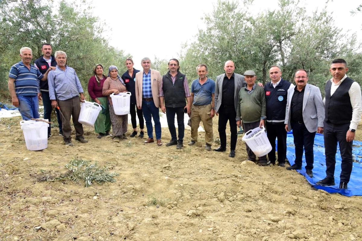 Manisa Büyükşehir Belediyesi, Zeytin Hasadında Çiftçilere Koruyucu Ekipman Dağıtıyor