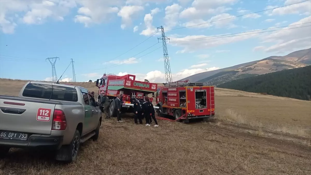 Kars\'ın Sarıkamış ilçesinde ormanlık alanda çıkan örtü yangını söndürüldü