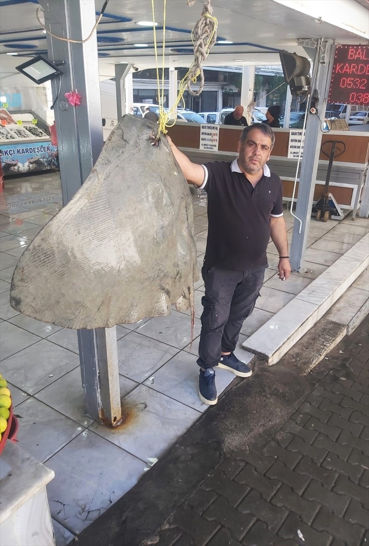 Muğla\'da 120 Kilogramlık Dev Vatoz Yakalandı
