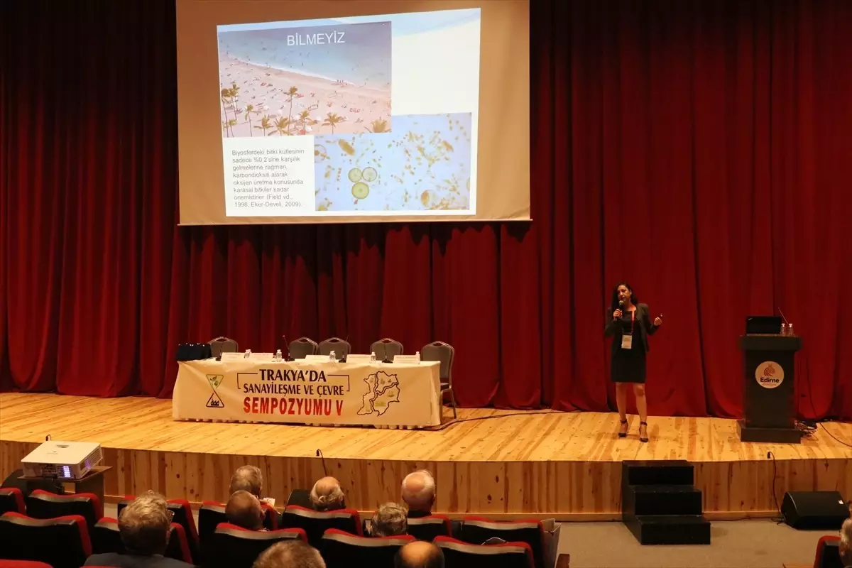 Su Kaynaklarına Atılan Plastik Atıklar Ekosistemi Bozuyor