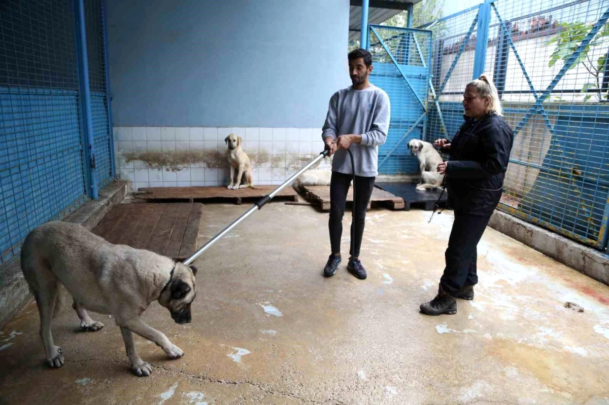 Nilüfer Belediyesi Veteriner İşler Müdürlüğü Personeline Sokak Hayvanlarına \'İnsancıl Yaklaşım Eğitimi\' Verildi